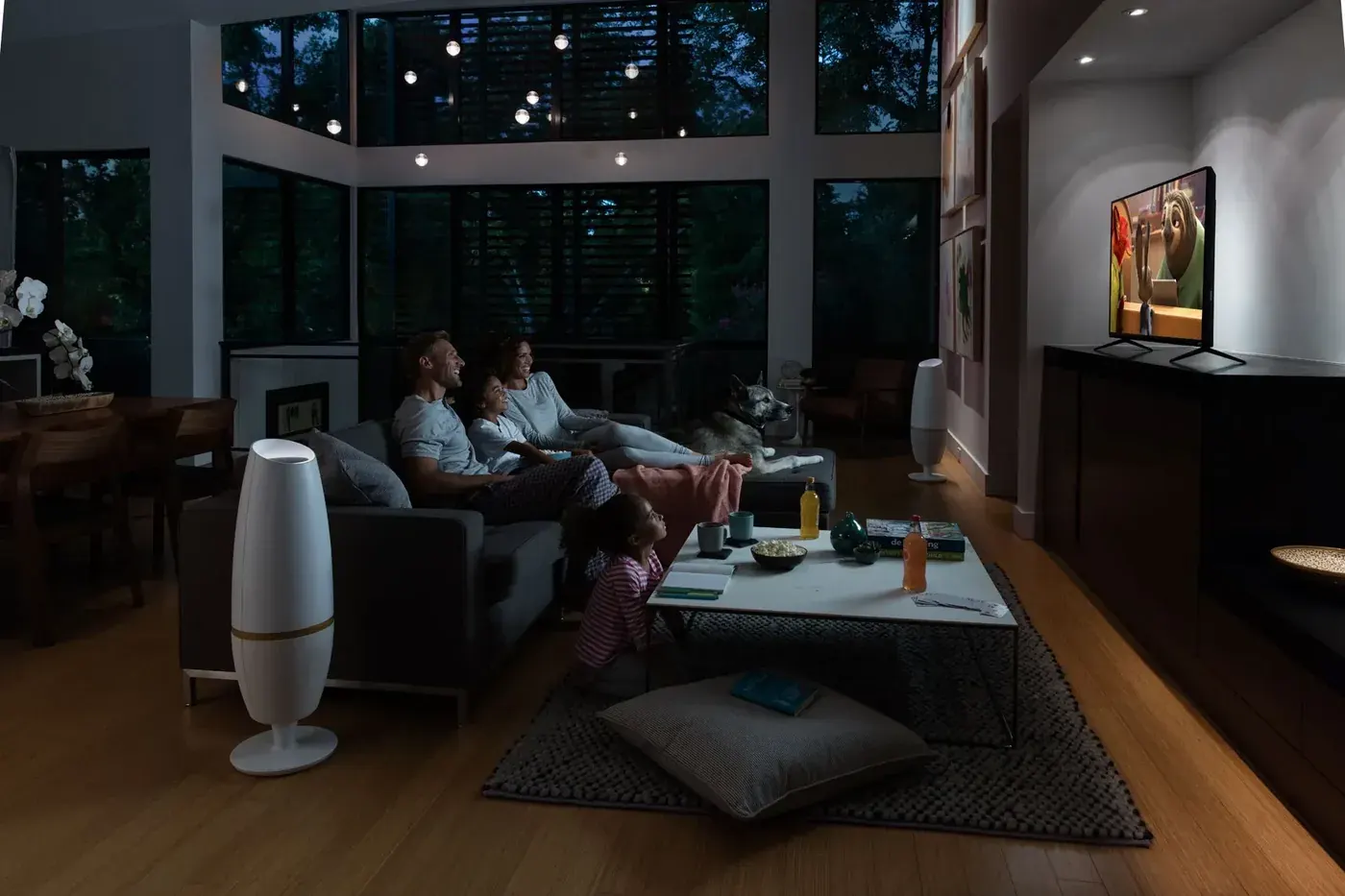 A real cinema experience at your home