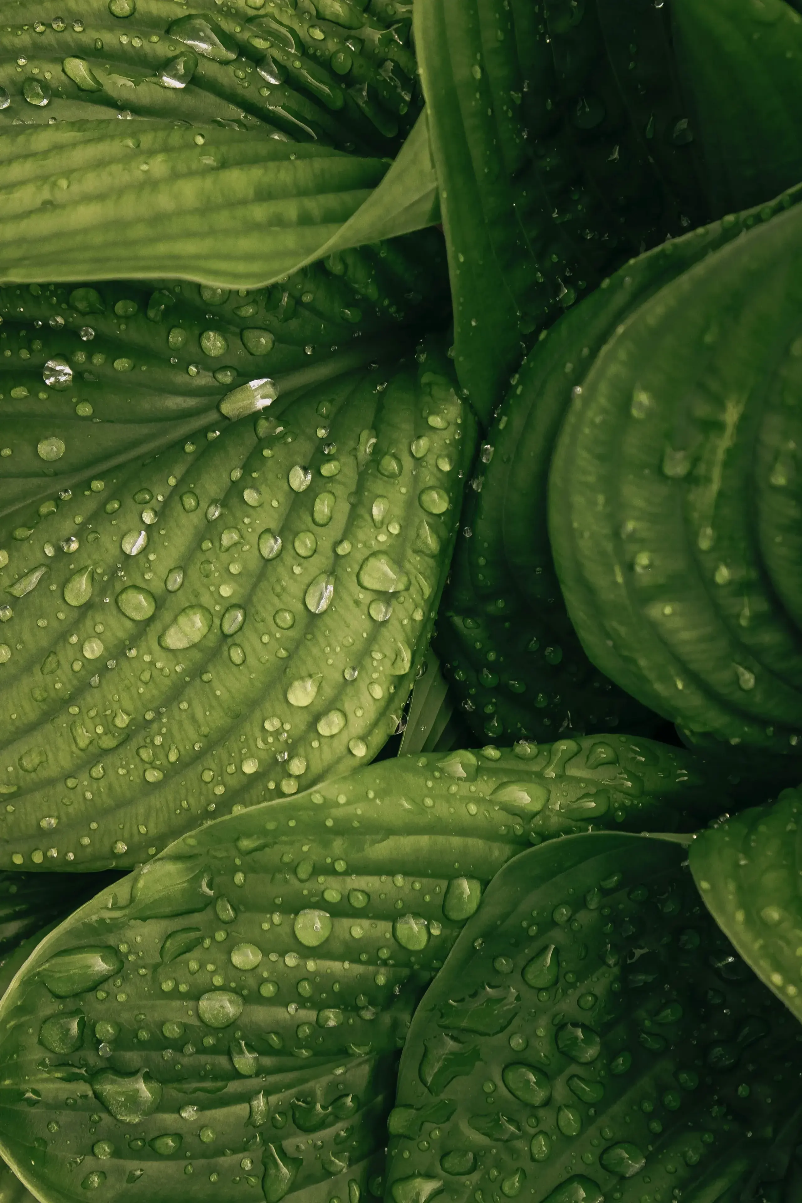 Environmental Control smart home solutions