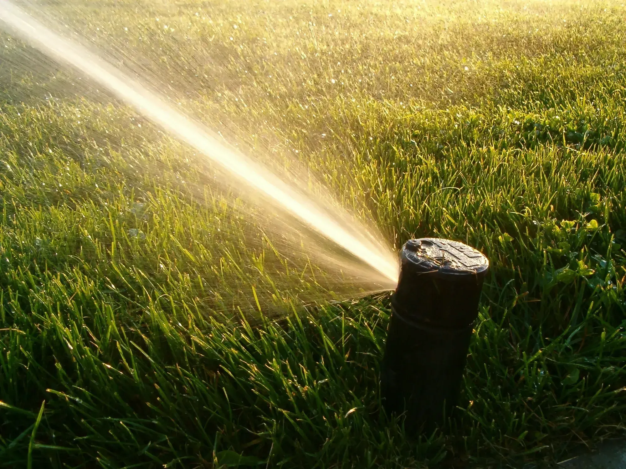 Irrigation System by Cleverest