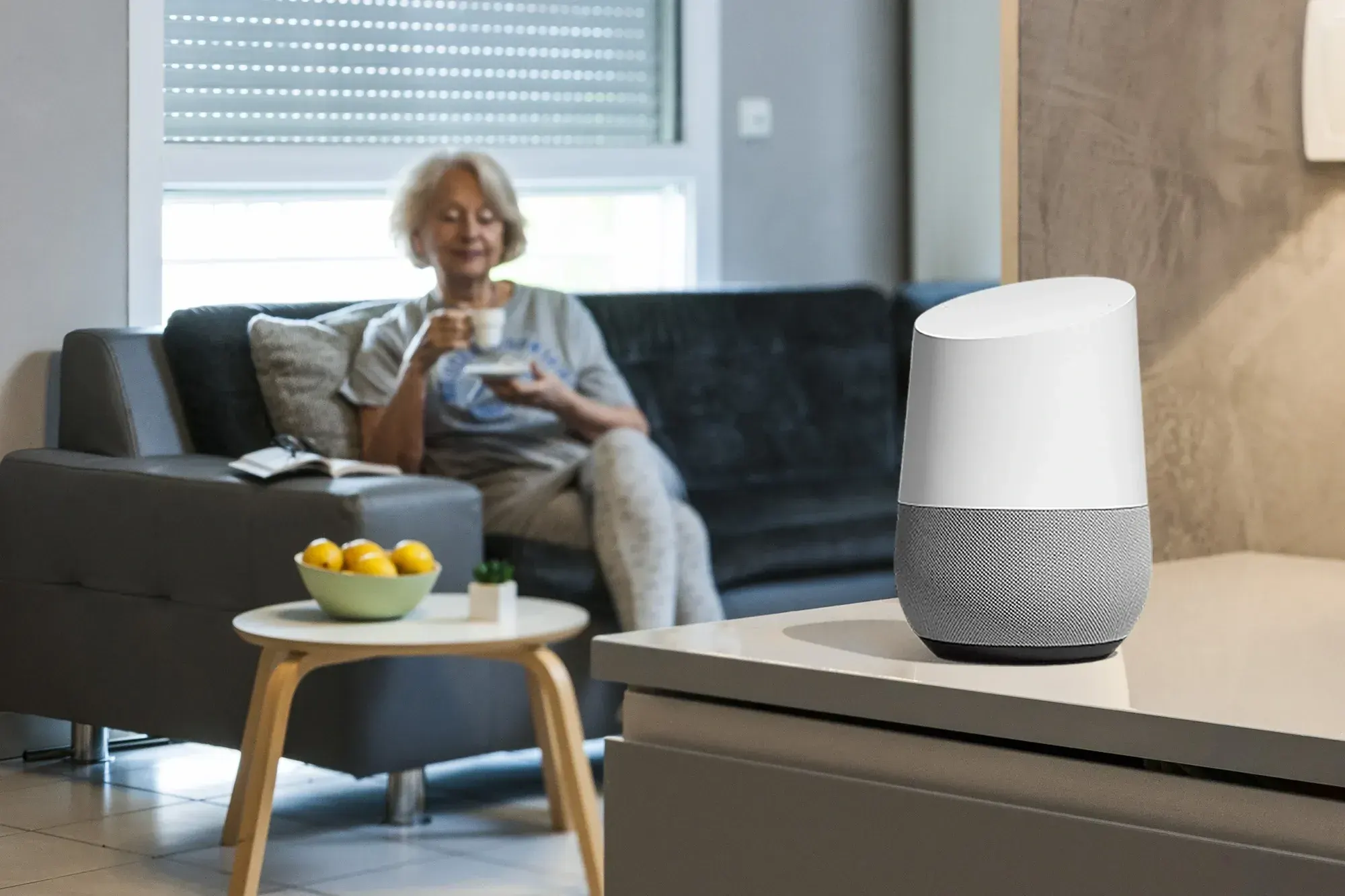 Voice Control by Cleverest