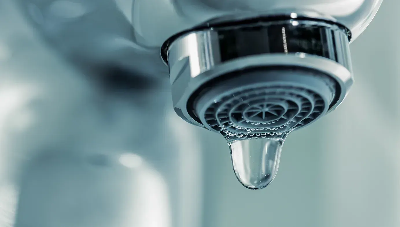 Leak Detection by Cleverest