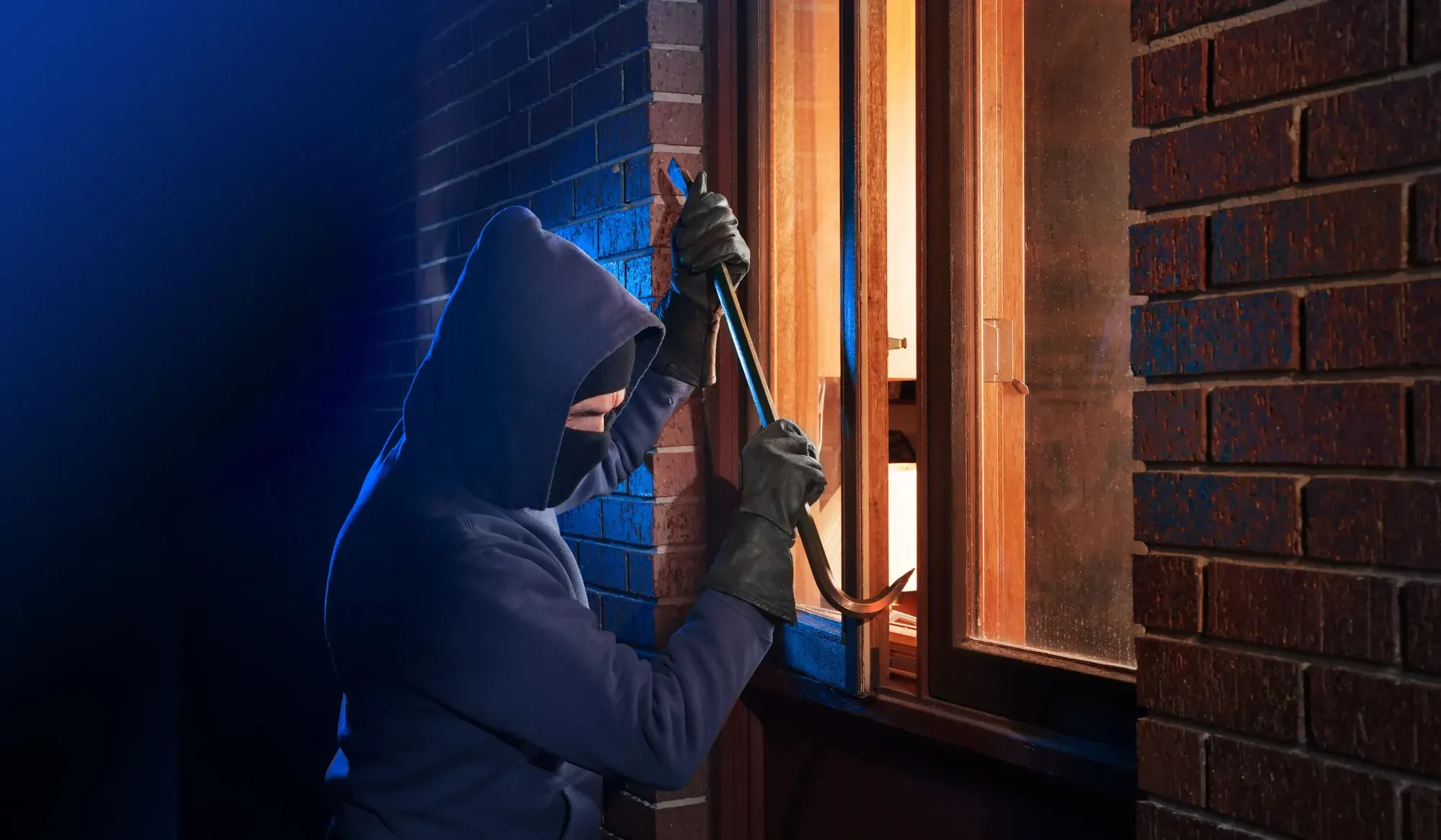 Intruder detection by Cleverest