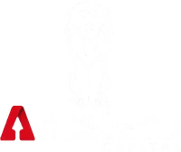 Accelero