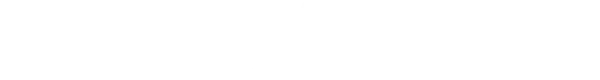 Technology partner logo