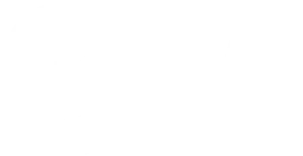 Technology partner logo