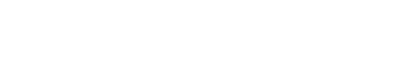 Technology partner logo