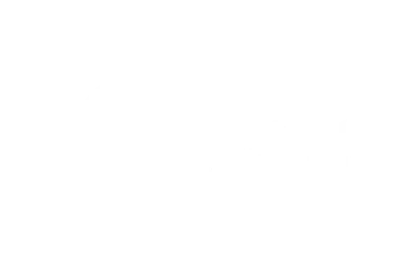 Technology partner logo